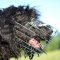 New Wire Basket Cage Dog Muzzle for Black Russian Terrier