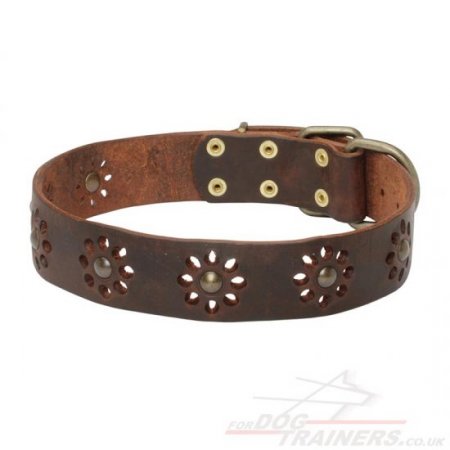 Pretty Dog Collar with Glancing Spikes and Studs NEW DESIGN!