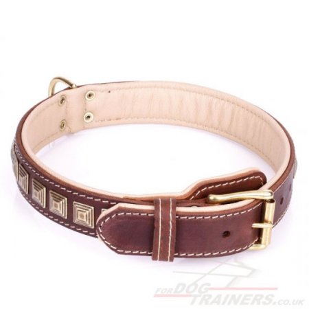 "Pyramid" Handmade Brown Leather Dog Collar Adorned With Brass Studs