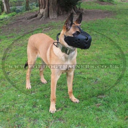 Leather Dog Muzzle for Malinois | Strong K9 Dogs Muzzle