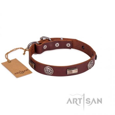 Studded Chocolate Brown Leather Dog Collar For Active Walking