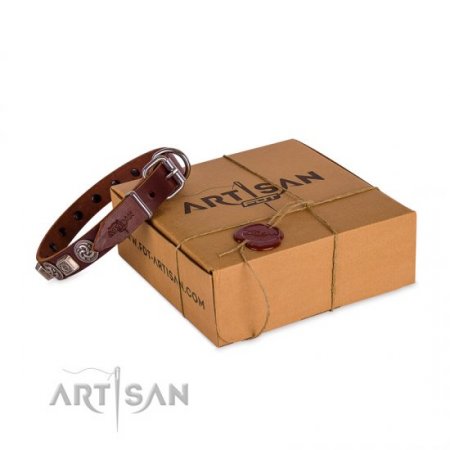 Brown Leather Dog ID Collar | Studded Buckle Dog Collar FDT Artisan
