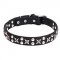 New Elegant Dog Collar "Planets and Stars" 1 1/5 inch (30 mm)