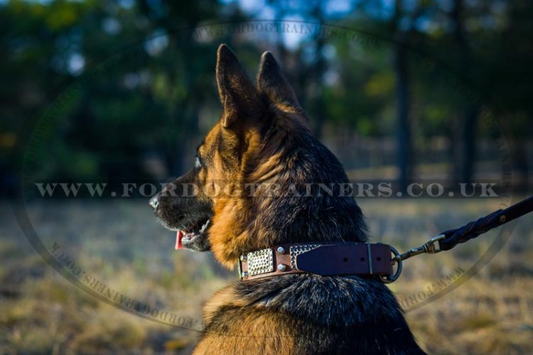 Elegant German Shepherd Leather Dog Collar - Click Image to Close