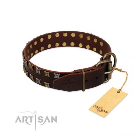 "Fido’s Pleasure" Fantastic Brown Leather Dog Collar With Studs FDT Artisan