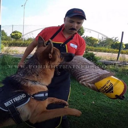 Dog Trainer's Apron Made of Leather for Dog Training