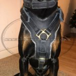 Large Leather Dog Harness UK Bestseller K9 Padded_10