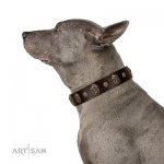 "Breaking the Horizon" Gorgeous Brown Leather Dog Collar FDT Artisan_8