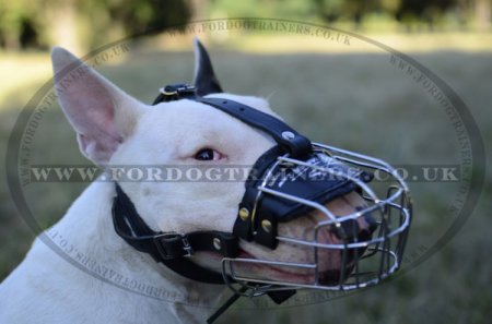 English Bull Terrier Muzzle UK Bestseller for Individual Breed