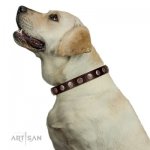 Dark Brown Leather Dog Collar | Exclusive Dog Collar UK FDT Artisan_11