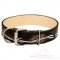 Designer Dog Collar "Barbed Wire" Style for Large Dog Breeds UK