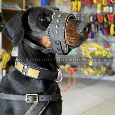 Adjustable Leather Dog Muzzle that Won't Come Off