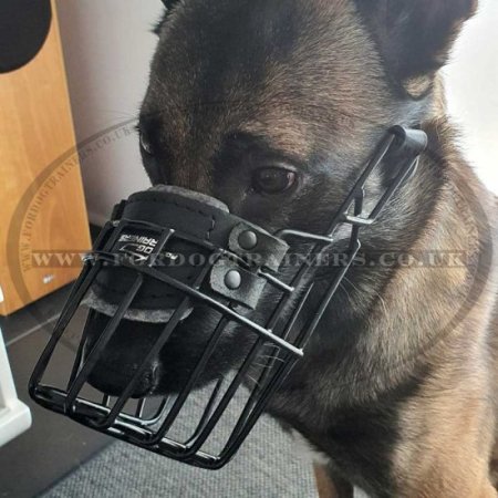 Malinois Dog Muzzle Basket Covered with Black Ruber