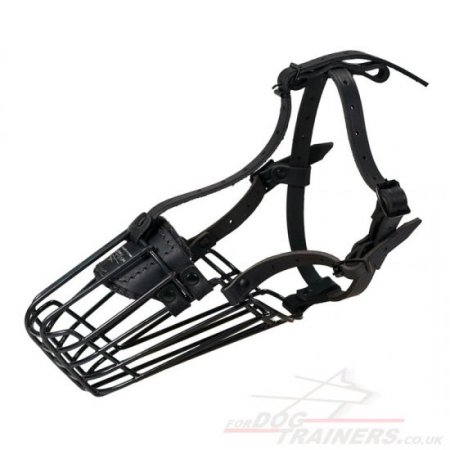 "For Everyone" Soft Padded Muzzle For Spaniel