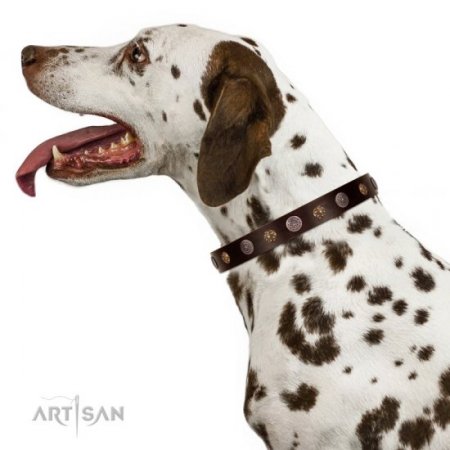 Extraordinary Soft Brown Leather Dog Collar Adorned With Glossy Studs