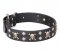 Designer Pirate Dog Collar with Skulls FDT Artisan