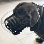 The Best Neapolitan Mastiff Muzzle Size UK XL Leather Basket_3