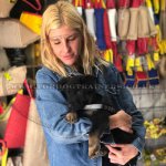 The Best Reflective Dog Harness with High Vis Strap and Patches_3