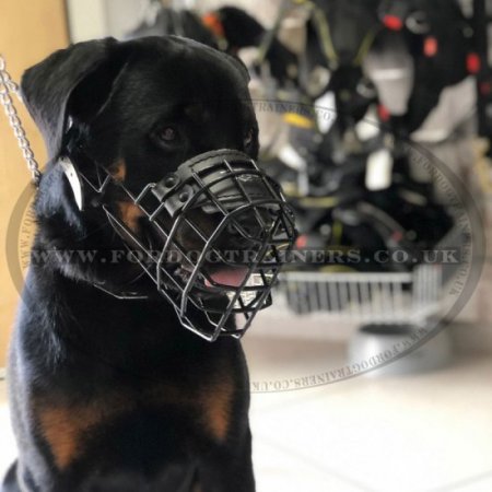 Black Rubber Covered Wire Dog Muzzle for Winter & Summer, Allows Drinking