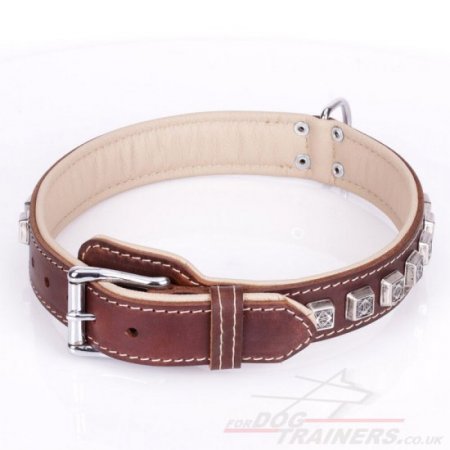 Adorable Brown Leather Studded Dog Collar "Cube" Padded With Leather Lining