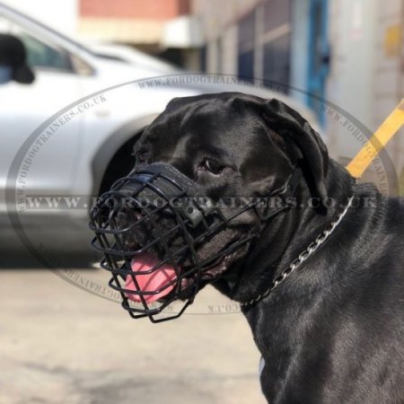 Eat and Drink Black Wire Dog Muzzle for Winter & Summer Allows Panting
