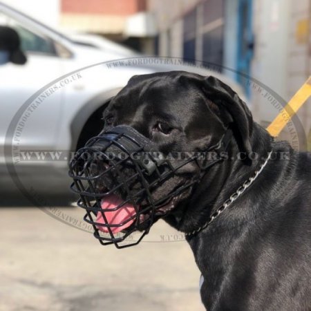 Black Rubber Covered Wire Dog Muzzle for Winter & Summer, Allows Drinking