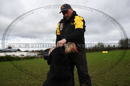 IGP Scratch Pants and Vest | Dog Training Scratch Suit