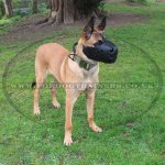Bestseller Leather Police Dog Muzzle for K9 Dogs Training_5