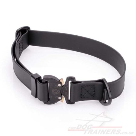 1 Inch Cobra Buckle Dog Collar Biothane