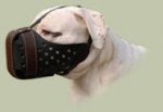 Bulldog Muzzle for Agitation | New Design Leather Dog Muzzle UK