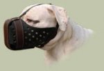 American Bulldog Muzzle for Agitation New Design K9 UK