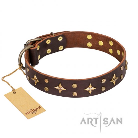 "High Fashion" Brown Leather Dog Collar FDT Artisan