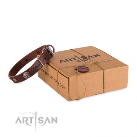 Exclusive Brown Studded Dog Collar FDT Artisan For Active Walking