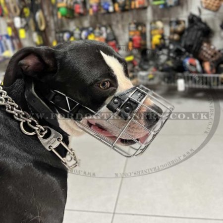Wire Dog Muzzle for Pitbull, Staffy and Alike Dog Breeds