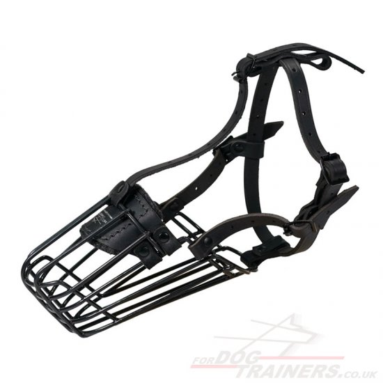 "For Everyone" Soft Padded Muzzle For Spaniel