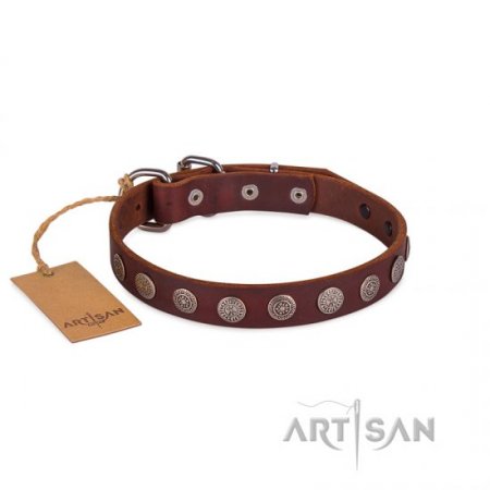 Dark Brown Leather Dog Collar | Exclusive Dog Collar UK FDT Artisan