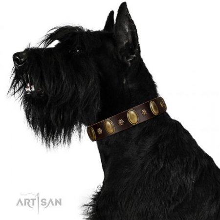 "Bronze Idol" Durable Chocolate Brown Leather Dog Collar FDT Artisan