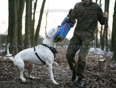 Professional Dog Training Sleeve | Best French Linen Bite Sleeve