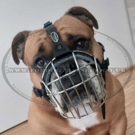 Bestseller Dog Muzzle Wire Basket for Bulldog Short Snout