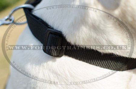 "Reliable Grip" Strong Nylon Dog Collar For American Bulldog