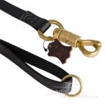 Extra Strong Heavy Duty Nylon Dog Leash with Elaborated Brass Snap_1