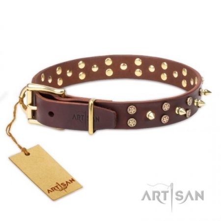 Extra Strong Brown Leather Brass Dog Collar FDT Artisan For Reliable Dog Control