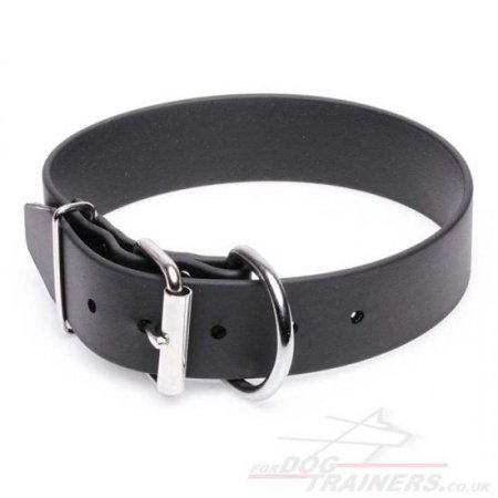 Advanced Biothane Waterproof Dog Collar with Buckle Closure