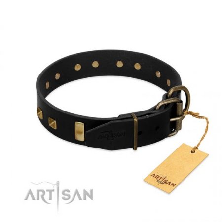 "Fit For Royalty" Charming Black Real Leather Dog Collar With Brass Adornment FDT Artisan