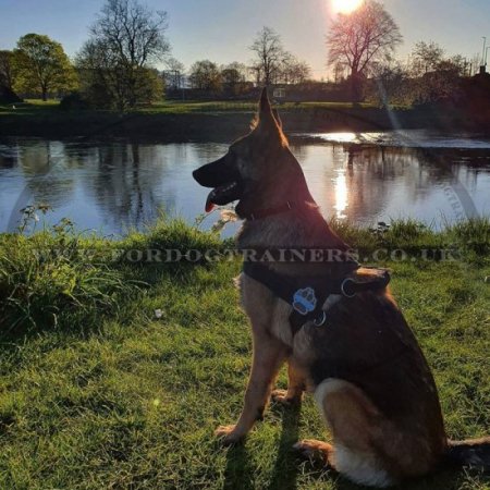 K9 Dog Harness No Pull Front Clip to Stop Dog Pulling on Lead