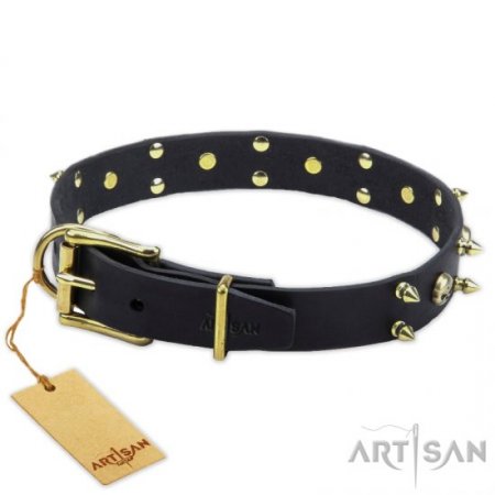 Stylish Brass Studded Black Leather Dog Collar FDT Artisan