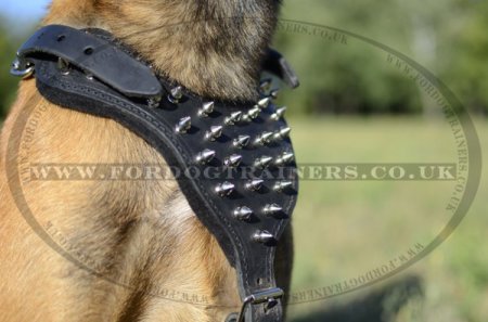 Belgian Malinois Dog Harness with Spikes