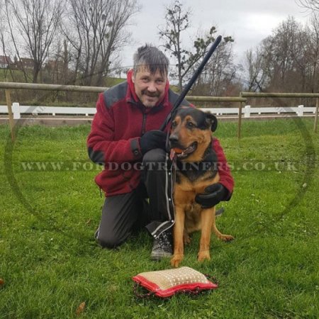 Dog Training Bamboo Stick, Agitation Stick