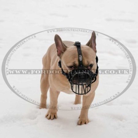 Black Rubber Covered French Bulldog Dog Muzzle for a Flat Face