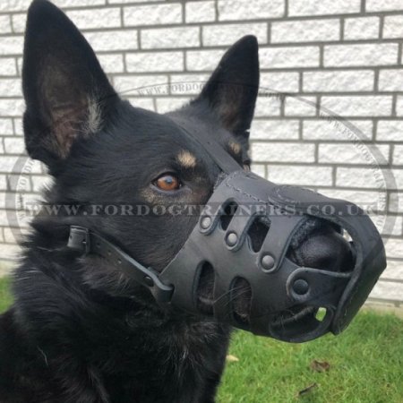 German Shepherd Dog Muzzle for Long Nosed Dog UK Best Shape